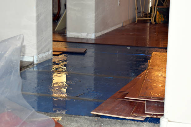 Professional Basement Flood Cleanup technician working in Saint John, WA